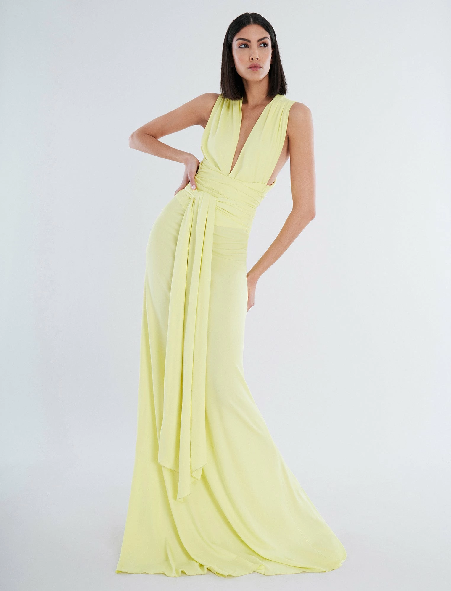 BCBGMAXAZRIA Campbell Maxi Dress 3 BCBGMAXAZRIA Campbell Maxi Dress