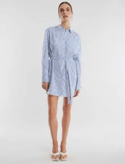 BCBGMAXAZRIA Roland Shirt Dress -Bcbg Shop 3.30 D AEU10450 453 5 HiRes