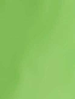 BCBGMAXAZRIA Collared Button-Up Top -Bcbg Shop 3.30 T AFD10481 312 7