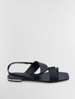 BCBGMAXAZRIA Marlin Flat Sandal -Bcbg Shop MX2MAR01 3